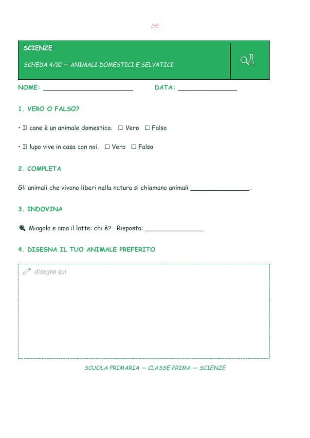 Pagina 5 di 11: Schede di scienze per la classe prima