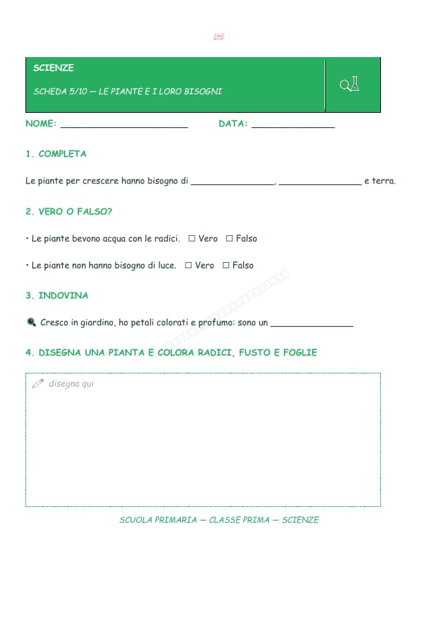 Pagina 6 di 11: Schede di scienze per la classe prima