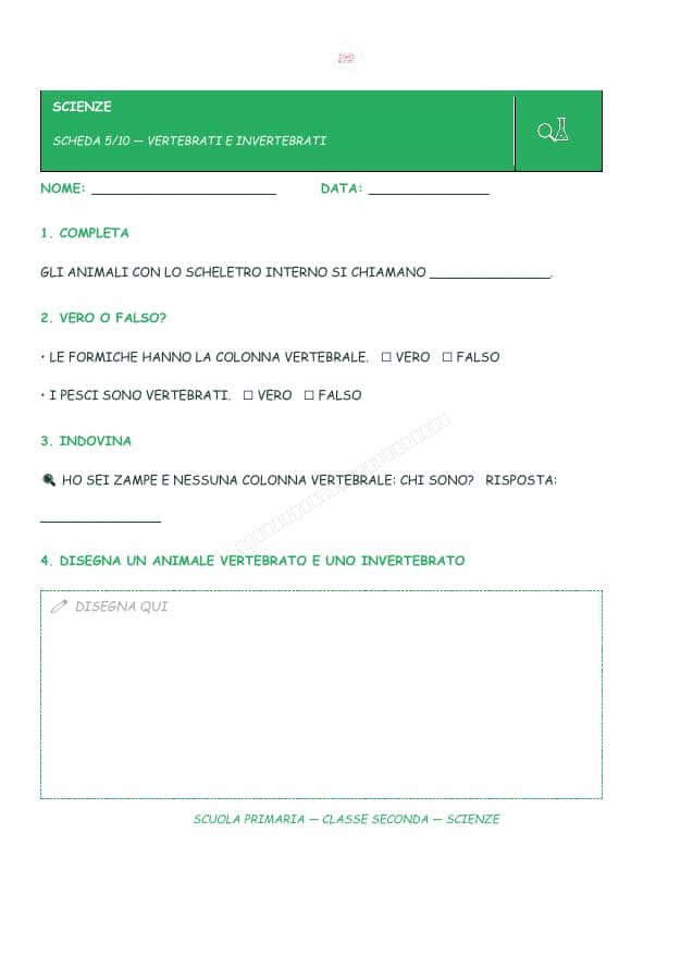 Pagina 5 di 10: Schede di scienze per la classe seconda