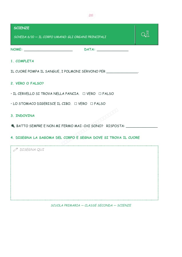 Pagina 6 di 10: Schede di scienze per la classe seconda