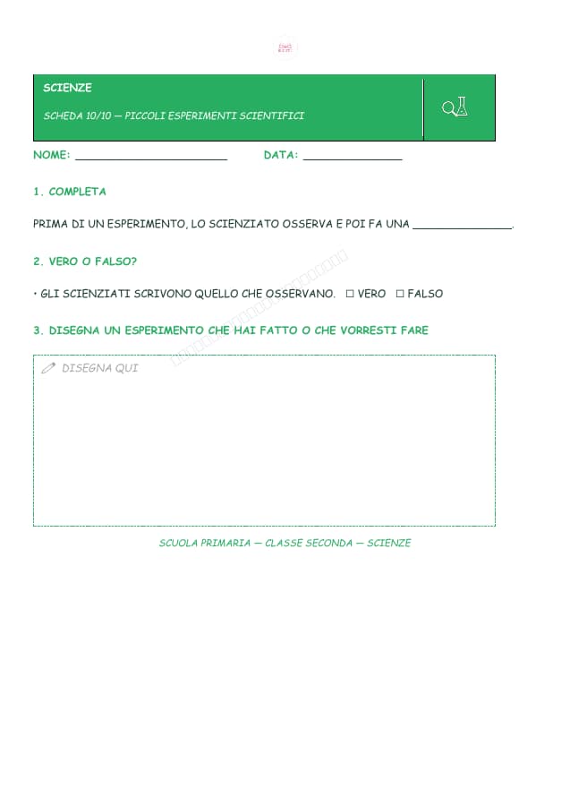 Pagina 10 di 10: Schede di scienze per la classe seconda
