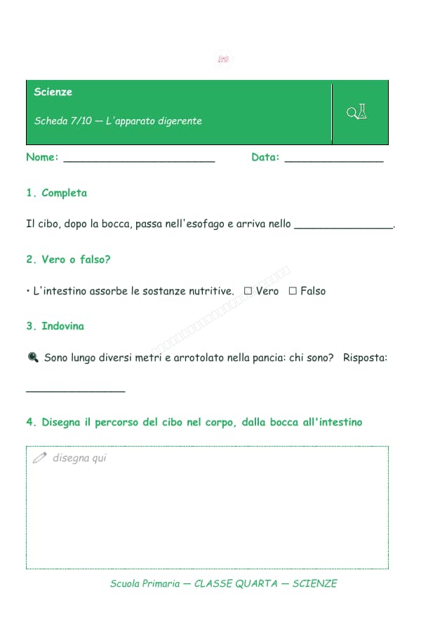 Pagina 7 di 10: Schede di scienze per la classe quarta