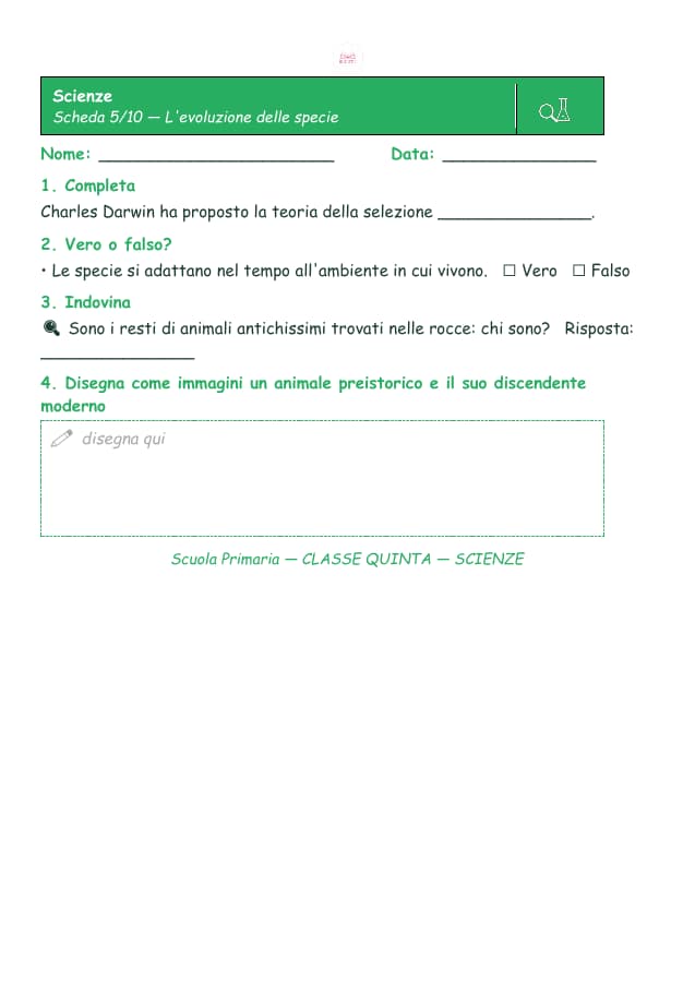 Pagina 5 di 10: Schede di scienze per la classe quinta