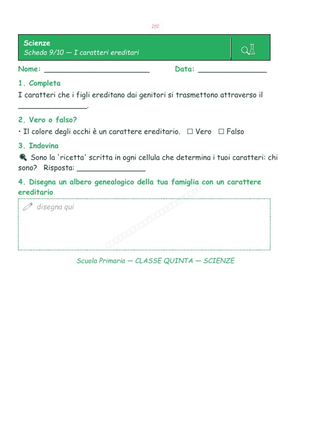 Pagina 9 di 10: Schede di scienze per la classe quinta
